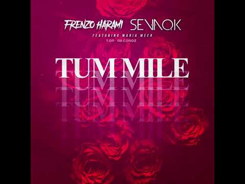 Frenzo Harami Ft. Maria Meer - Tum Mile Refix (Official Audio)