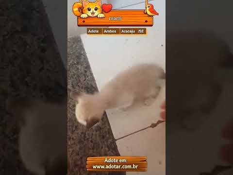 Vídeo de mami