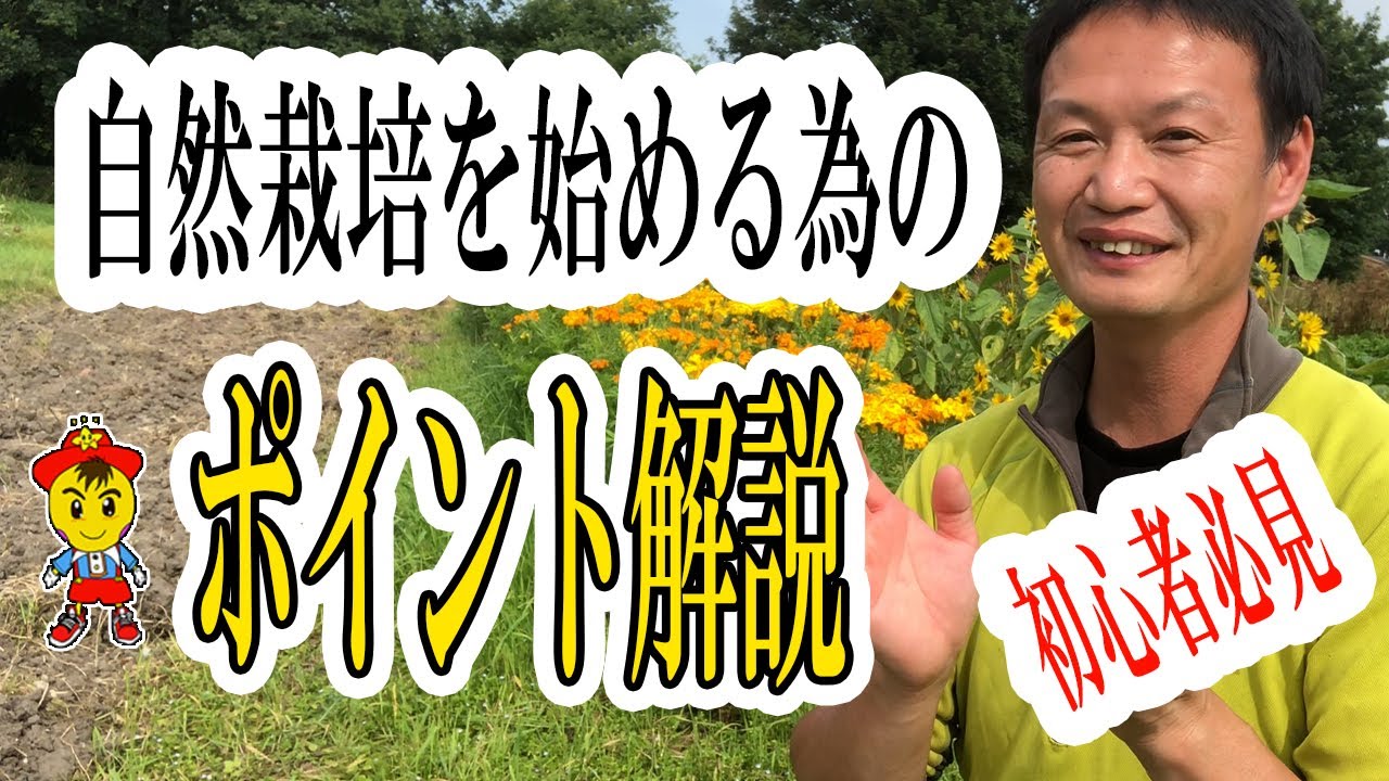 自然栽培の土地選びと畑の始め方