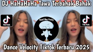 Download lagu DJ HAHAHA TAWA TERBAHAK BAHAK LAMPU KAKA || DJ EMANG GUE PIKIRIN VIRAL VELOCITY TIKTOK TERBARU 2025 mp3