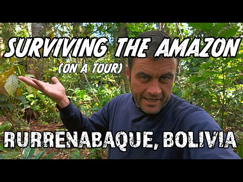 Rurrenabaque, Bolivia - Amazon Forest and Pampas Grasslands