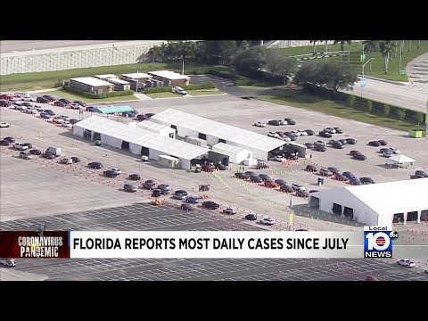 Local 10 Morning News Brief 12-4-2020