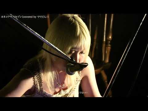 カネコアヤノ/セゾン【京都精華大学軽音楽部】