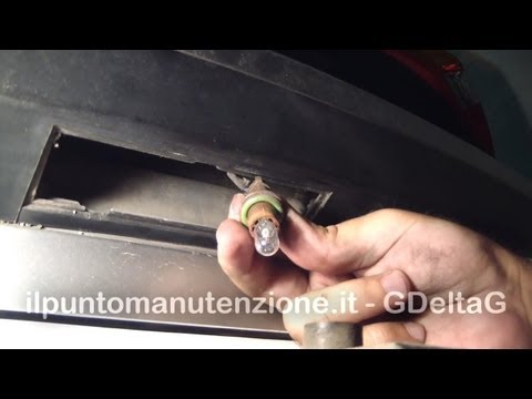 Se i vermi sono pericolosi per la persona da un gattino Quello che è nominato a un lyambliya in sangue