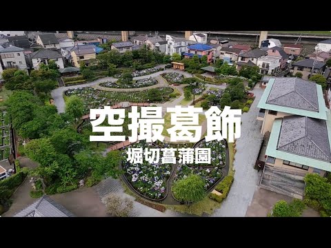 【空撮葛飾】堀切菖蒲園｜名所江戸百景・堀切の花菖蒲｜