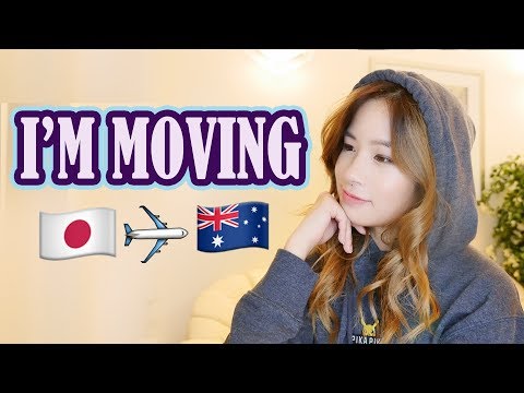 我在搬家｜我去哪兒了？| 金道 (I'M MOVING | Where have I been? | Kim Dao)