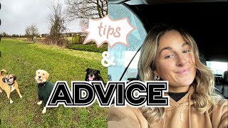 How to become a dog walker in the UK | Tips & advice | All Paws Outdoors