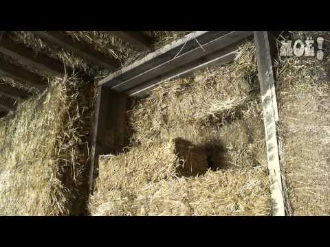 Воронежец построил уникальный дом из 30 тонн соломы