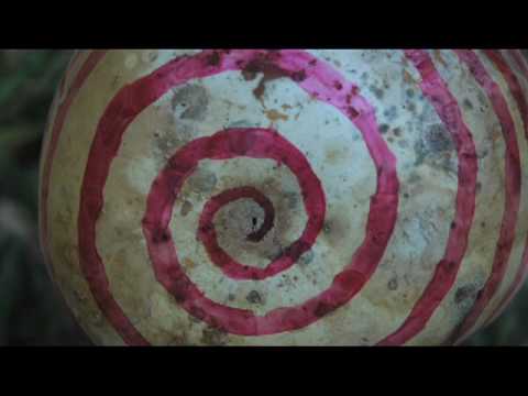 Neon Indian - 6669 (I Don't Know If You Know) [Official Music Video]