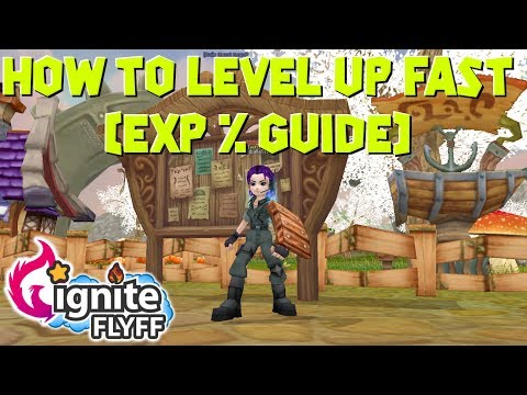 Ignite Flyff (Fly For Fun) How to Level Up Fast (EXP % Guide)