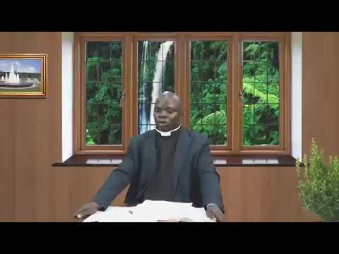 THE DAILY FOUNTAIN OF SEPTEMBER 23, 2017