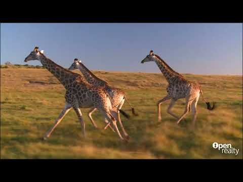 Royalston Coastal Wildlife Estate | Modern Home For Sale | R 6 200 000 | By Sjani & Leonie