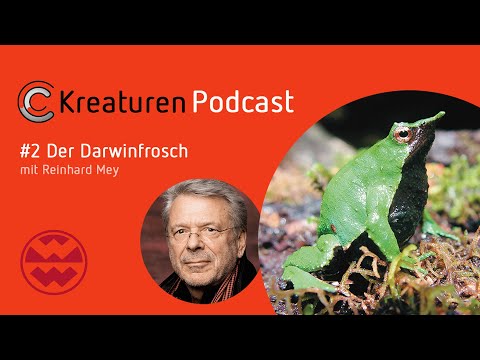 KREATUREN Podcast - Folge 02: Der Darwin-Frosch mit Reinhard Mey | Welt der Wunder