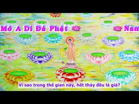 HD | Kinh A Di Đà Sớ Sao Diễn Nghĩa, tập 219 [phụ đề] - Lão Pháp Sư Tịnh Không
