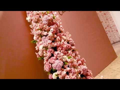 Decoração Formatura Carolina