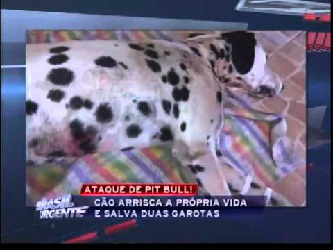 Brasil Urgente Campinas 14 09 2012 - bloco 03