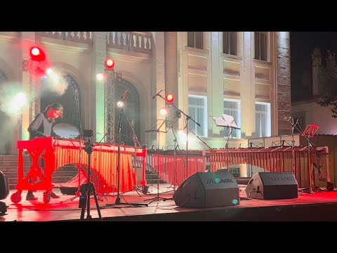 Ludwing Albert: Feel the Sunlight for solo marimba