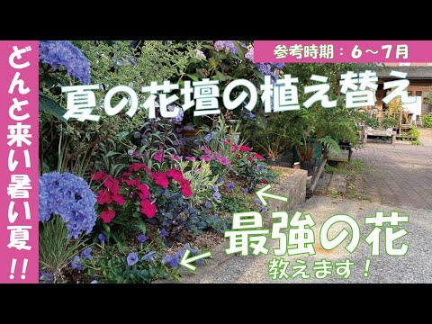 composition-jardinière-été-plantes-annuelles-pétunias