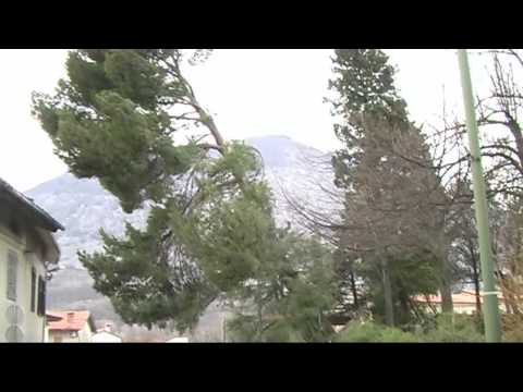 Burja v Novi Gorici 10.03.2010