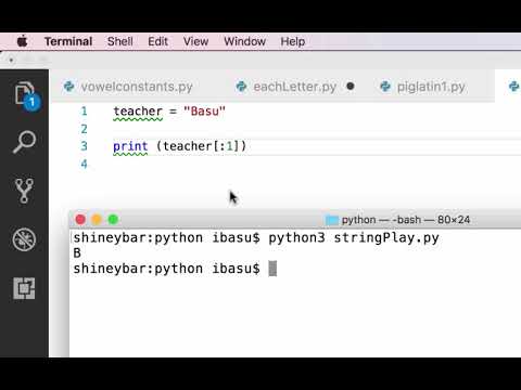 Python String Manipulation Pig Latin