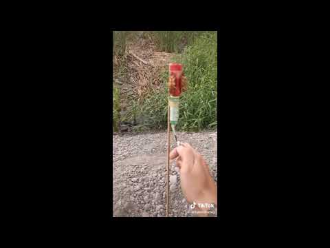 tonyo and berto's adventure to mars