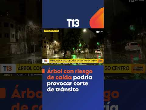 Árbol con riesgo de caída en pleno centro de Santiago