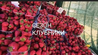 КЛУБНИЧНАЯ УЛИЦА ПРОСПЕКТ МЕТАЛЛУРГОВ ЗАПОРОЖЬЕ ИЮНЬ 2026 