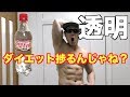 コーラが無色透明カロリーも0になったのでダイエットが捗るんじゃね?