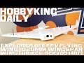 HobbyKing Super Daily - Explorer Bee FPV Flying Wing 1020mm Wing