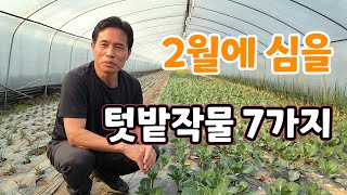 2월 심을 텃밭작물  7가지는? 씨앗파종 시기