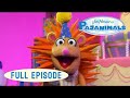 Pajanimals Apollo S Special Day Night Will Sing Us To Sleep Jim Henson Family Hub