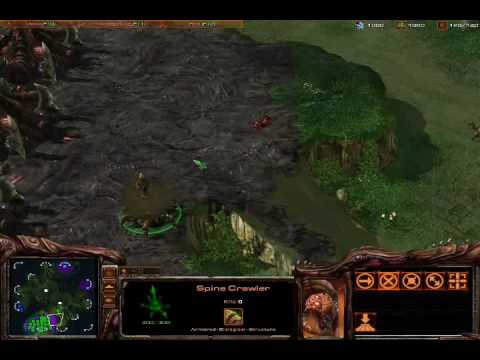 Starcraft 2 Beta Randomness