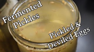 Fermented Pickles, and Pickled & Deviled Eggs
