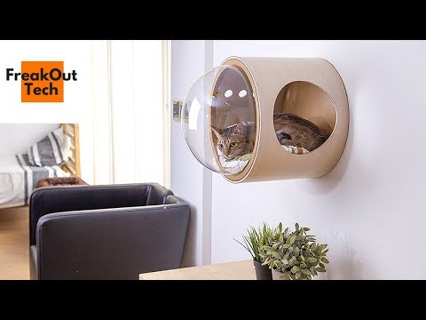 5 Amazing Cat Inventions You Must See Video