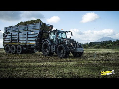 Hillcrest Farming - Pushing Hard With Second Cut 2024