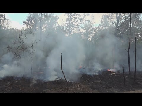News video thumbnail: smoke damage claims after wildfire