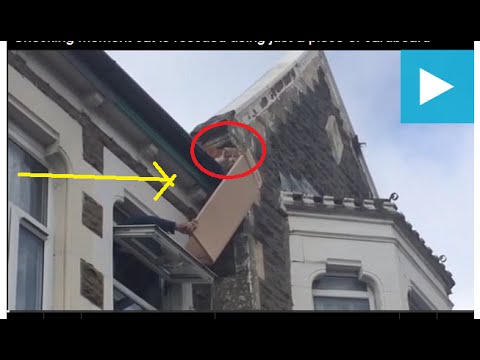 Shocking moment cat is rescued using just a piece of cardboard