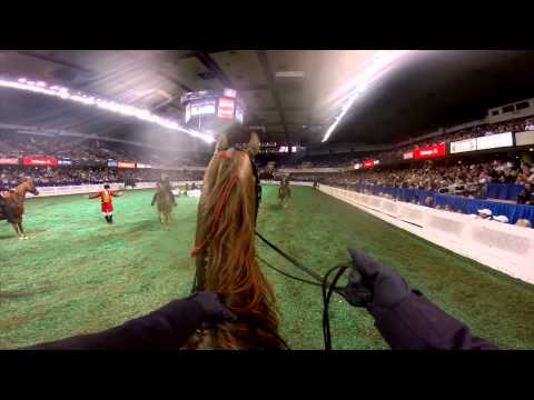 2015 Five-Gaited World's Grand Championship