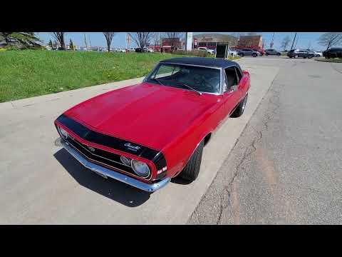 1967 Chevrolet Camaro SS Tribute