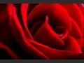 My Funny Valentine 