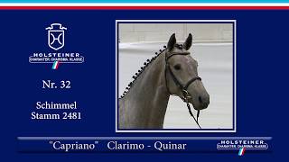 Video von Can Jump 4