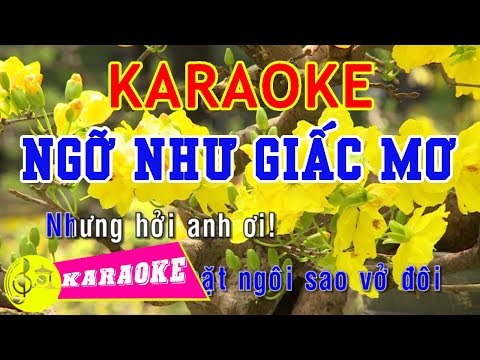 Ngỡ Như Giấc Mơ Karaoke || Beat Chuẩn