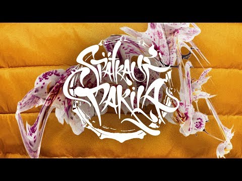 PINK VIAGRA - DREHEN (Prod. by BLONDEYMAN)