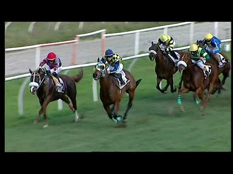 Galoppo 24/12/2020 - 3ª corsa