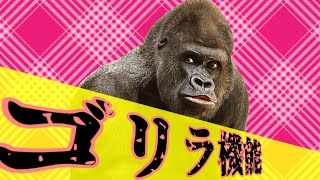 【ノリで！歌ってみた】おちゃめ機能だと思ったらゴリラ機能だった