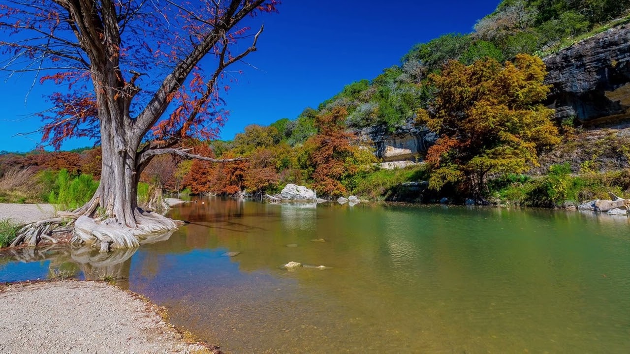 Darwin Day: Sunfish Variations