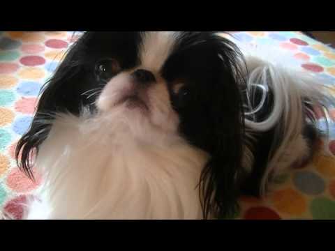 {$row[$i]['name'], ENT_QUOTES,'utf-8'); ?>