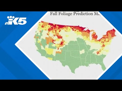 Here's when western Washington will see peak fall colors