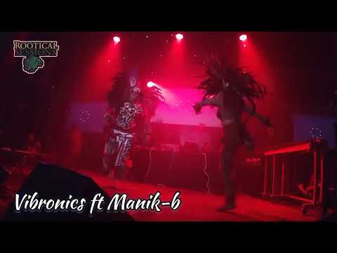 Vibronics (UK) ft @Manik-b
