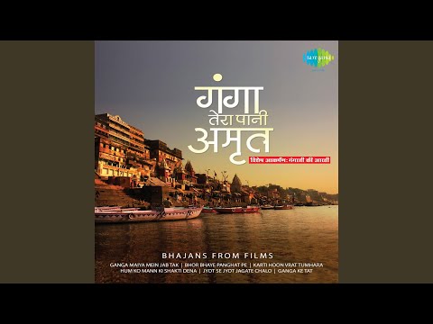 Poster patit pavani ganga